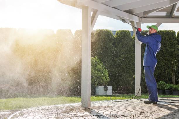 Best Solar Panel Cleaning  in Fulton, TX